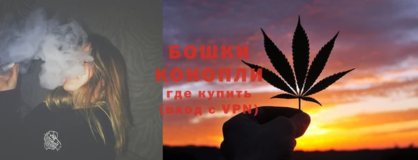 индика Дмитриев