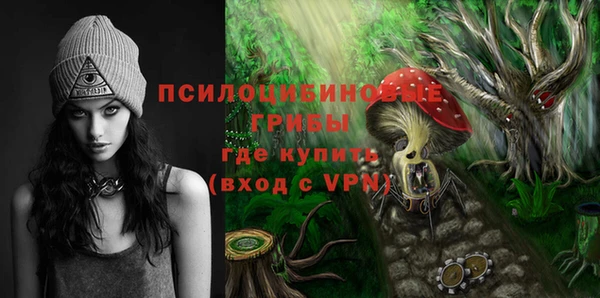 круглые Гусиноозёрск