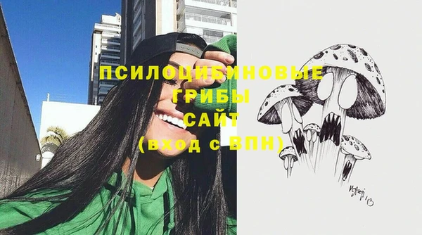 трава Балахна