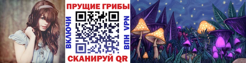 hydra ТОР Шали Галлюциногенные грибы GOLDEN TEACHER