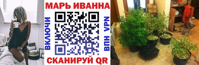 Бошки Шишки Ganja сайты даркнета состав MEGA tor Шали купить закладку